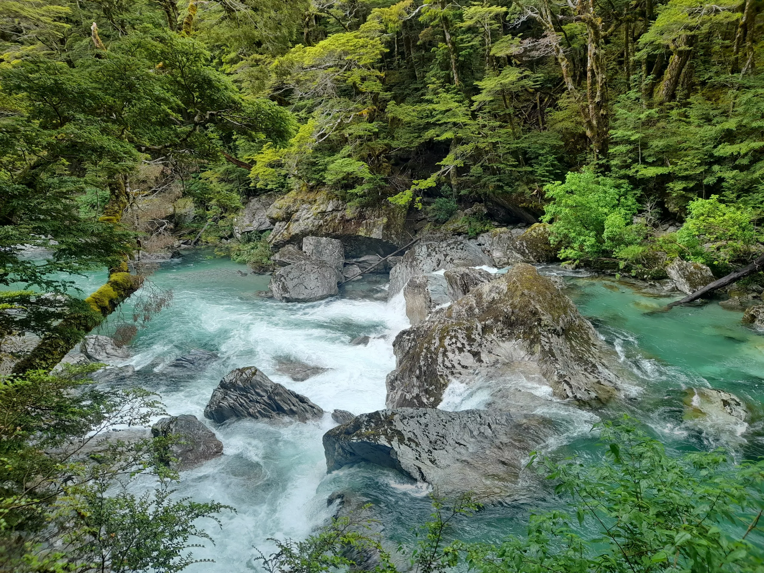 Routeburn track - day 1 blue cascades 