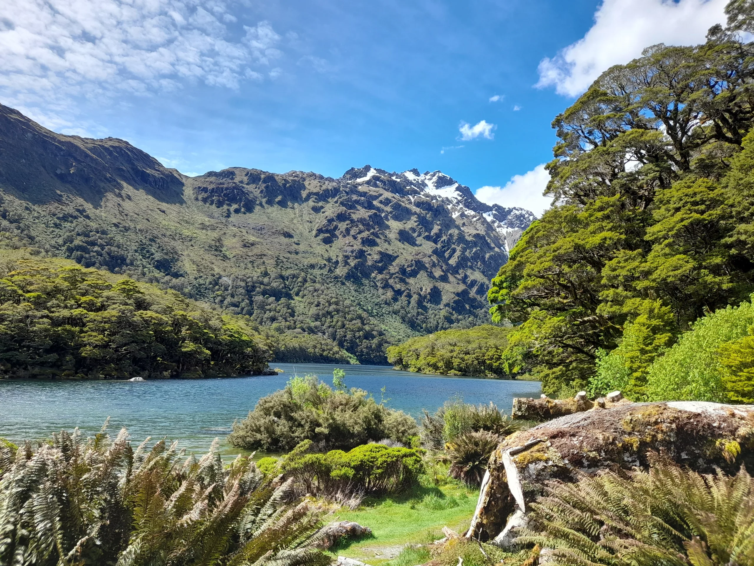 View from Lake Mackenzie