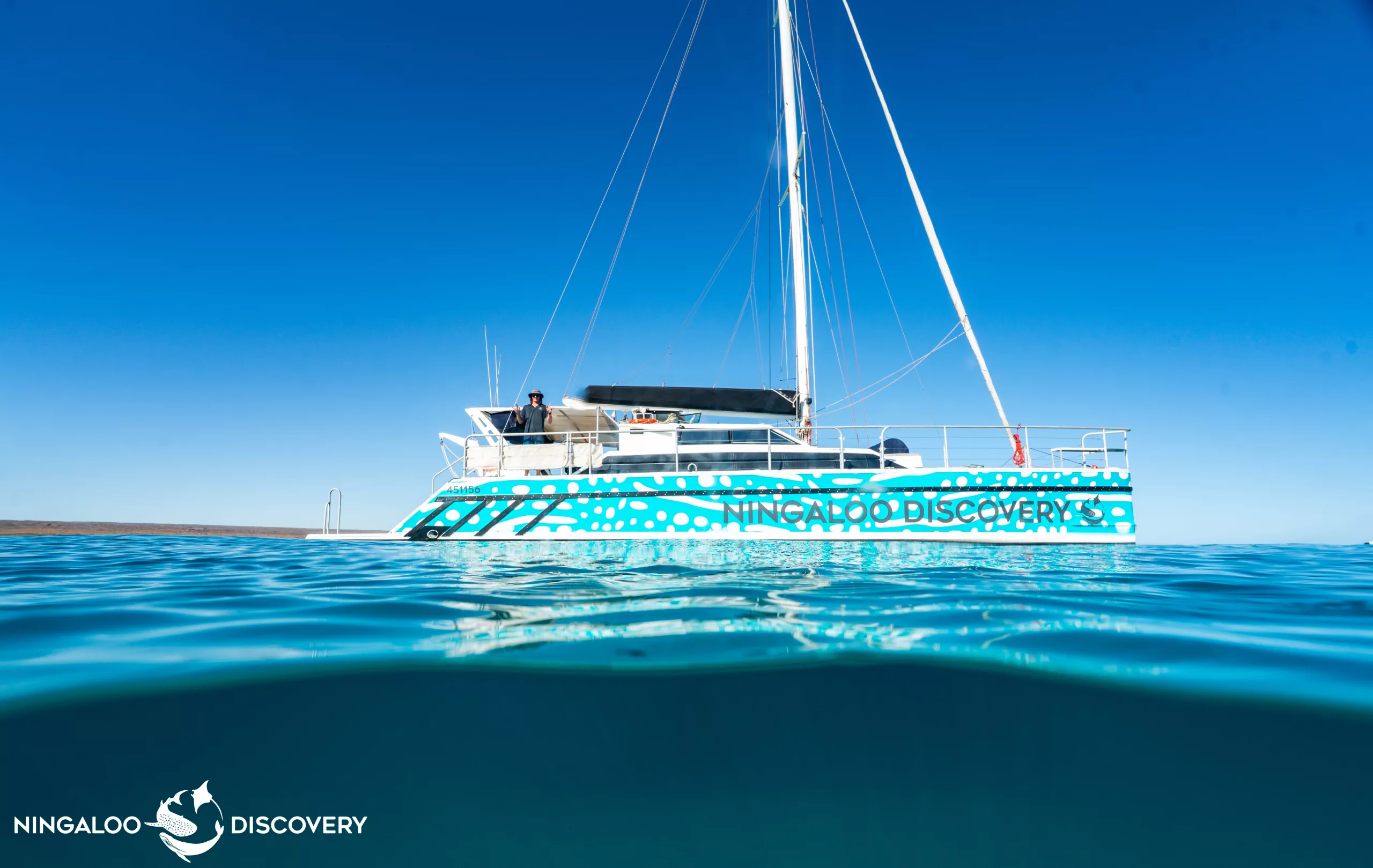 Whale shark tour boat