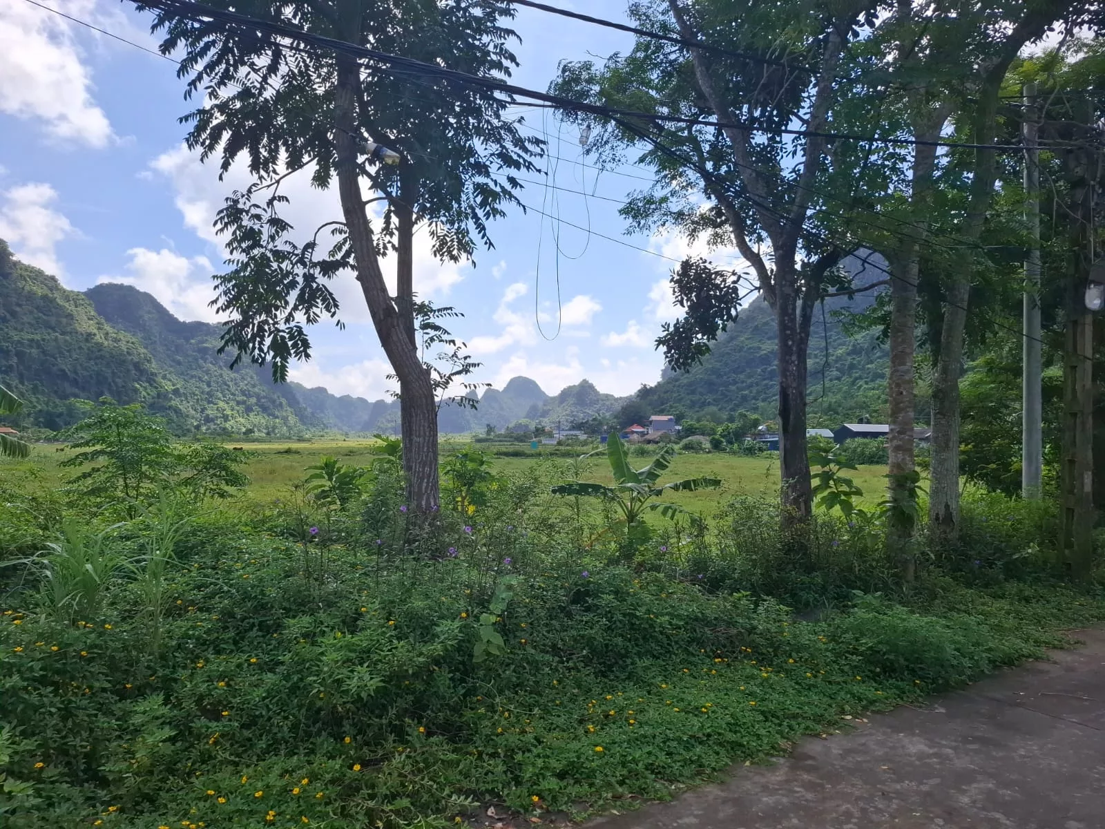 Cycling through Viet Hai Village